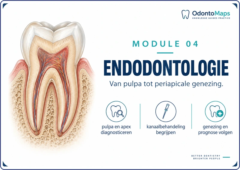 Omslag: Endodontologie